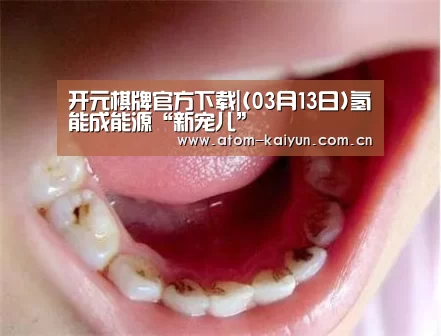 开元棋牌官方下载|(03月13日)氢能成能源“新宠儿”(图2) 开云体育官网