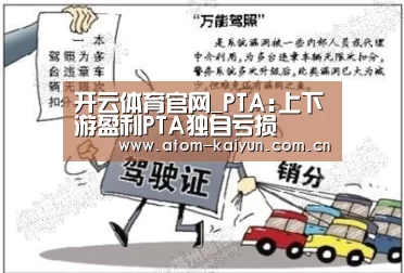 开云体育官网_PTA:上下游盈利PTA独自亏损(图2) 开元