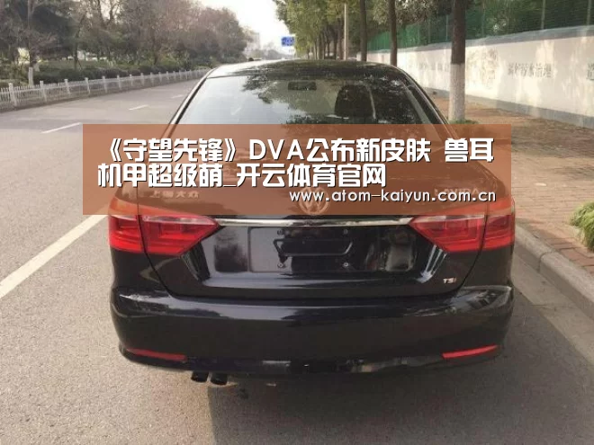《守望先锋》DVA公布新皮肤 兽耳机甲超级萌_开云体育官网(图3) 开云体育官网
