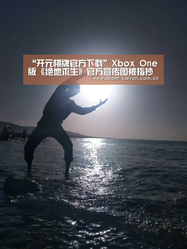“开元棋牌官方下载”Xbox One版《绝地求生》官方宣传图被指抄袭(图4) 开元