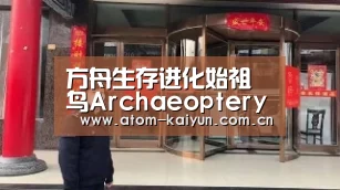 方舟生存进化始祖鸟Archaeopteryx 鸟类祖先竟然挑食【开元棋牌】(图3) 开元棋牌